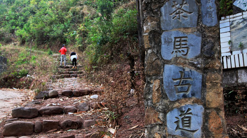 普洱茶马古道旅游景区一日游