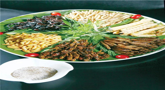 普洱美食