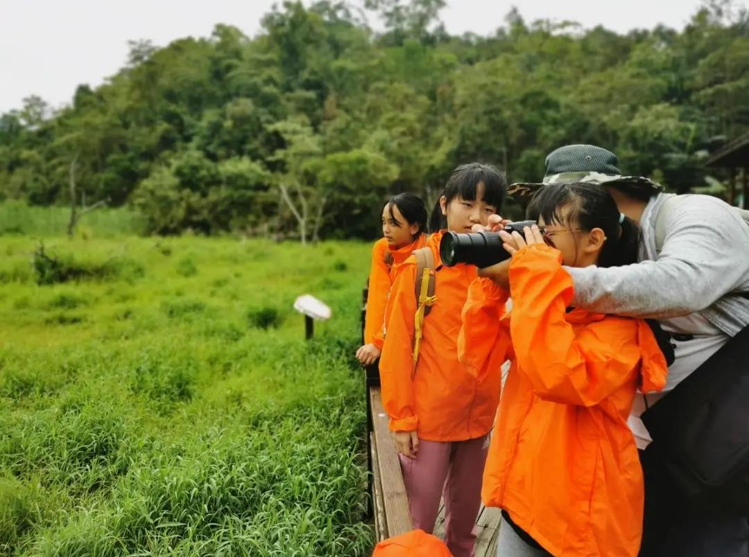 普洱研学旅行