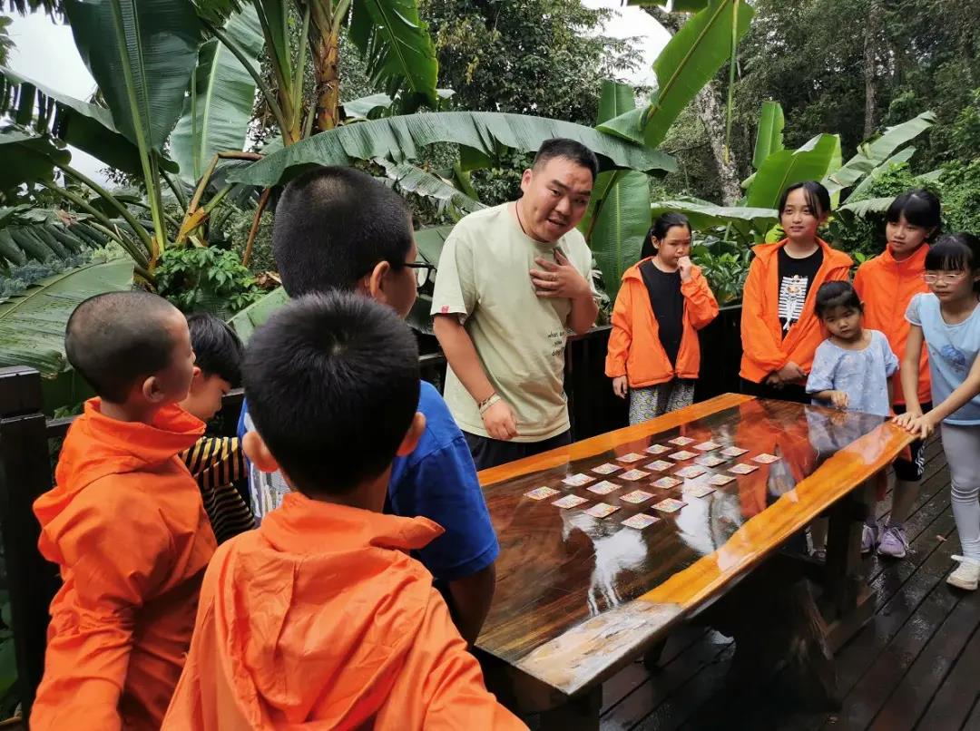 普洱研学旅行| 勇闯普洱雨林，探秘动植物王国