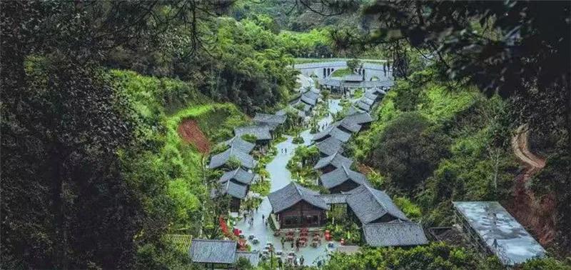 普洱特色团建，浪漫茶旅+美食精品两日游经典线路推荐