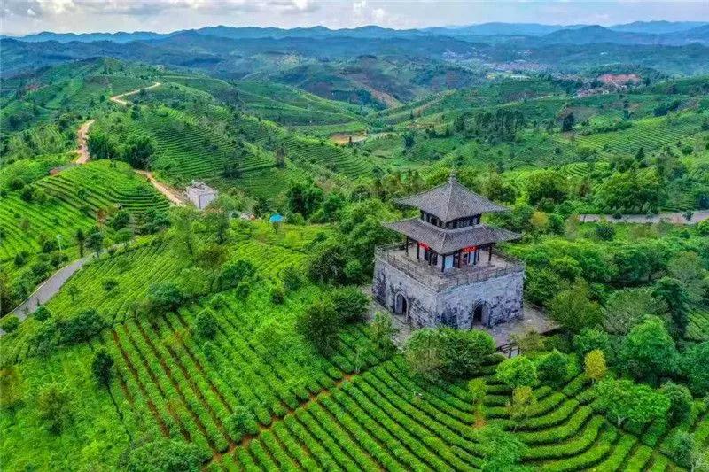 普洱特色团建,浪漫茶旅+美食精品两日游经典线路推荐 普洱特色团建,浪漫茶旅+美食精品两日游经典线路推荐