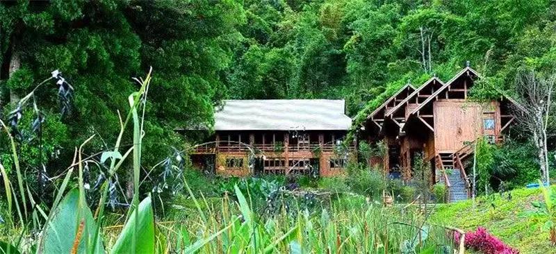 普洱特色团建，浪漫茶旅+美食精品两日游经典线路推荐