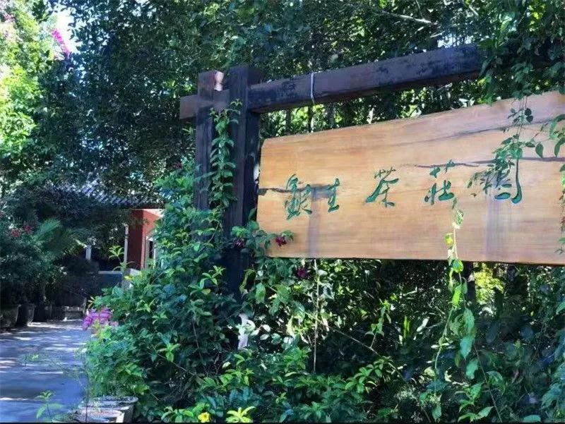 普洱特色团建,浪漫茶旅+美食精品两日游经典线路推荐 普洱特色团建,浪漫茶旅+美食精品两日游经典线路推荐