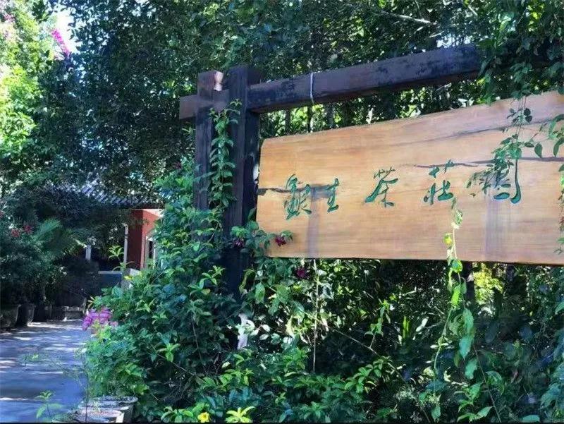 普洱特色团建，浪漫茶旅+美食精品两日游经典线路推荐