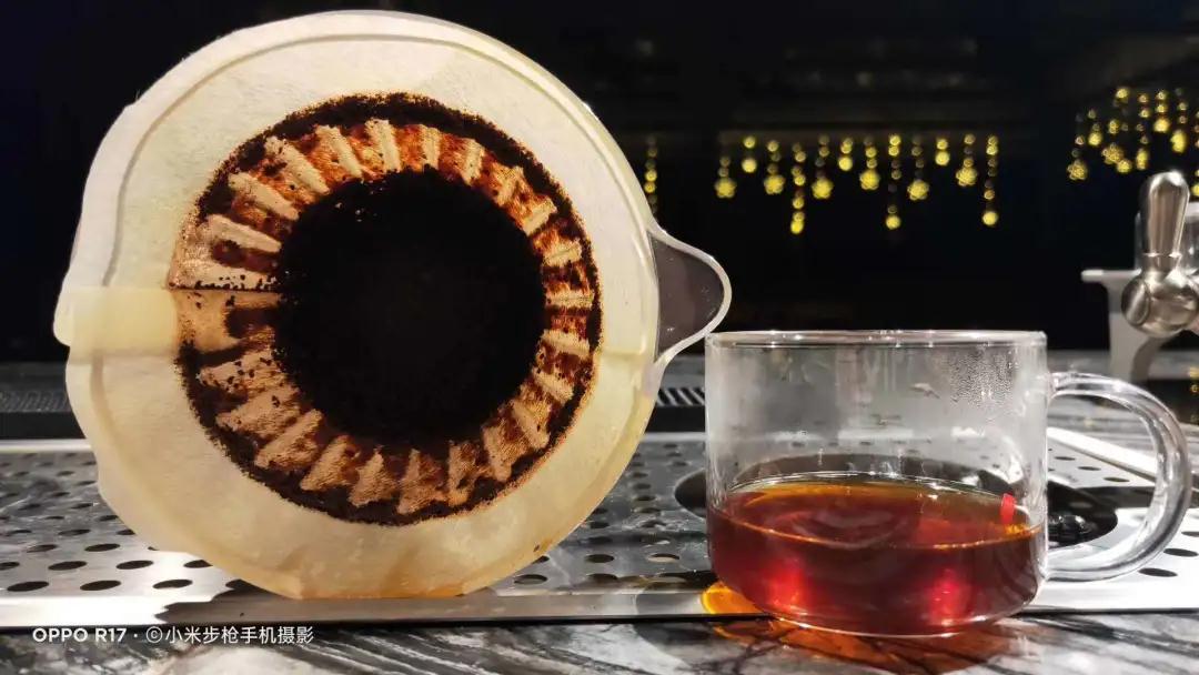 普洱特色团建：普洱小凹子咖啡庄园