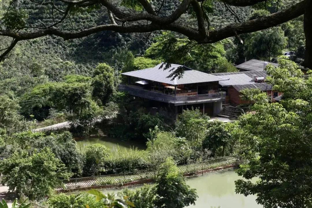 普洱特色团建:普洱小凹子咖啡庄园 普洱特色团建:普洱小凹子咖啡庄园