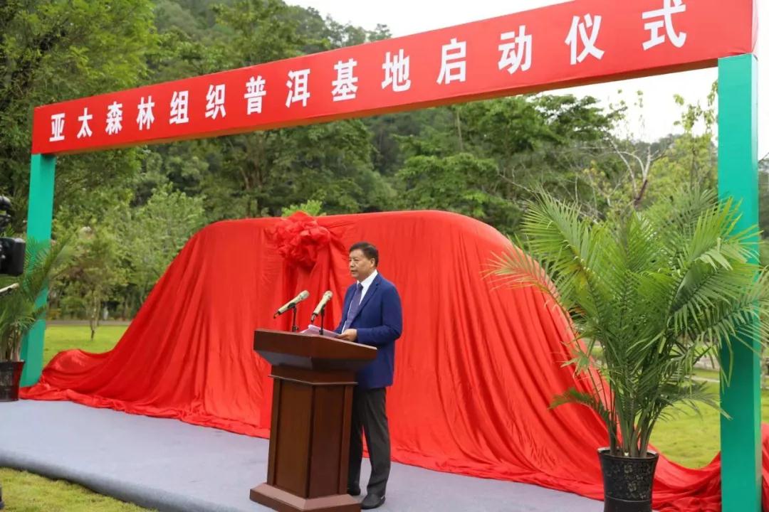 云南普洱基地万掌山林场