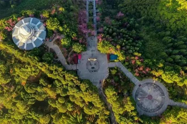 普洱特色团建 普洱特色团建
