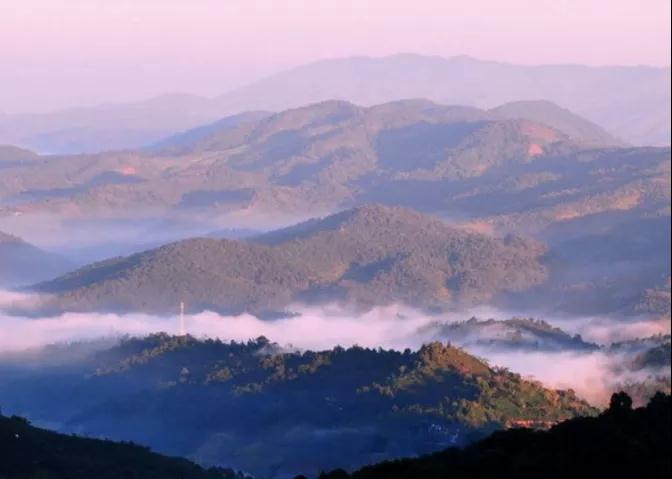 普洱特色团建-古茶山行