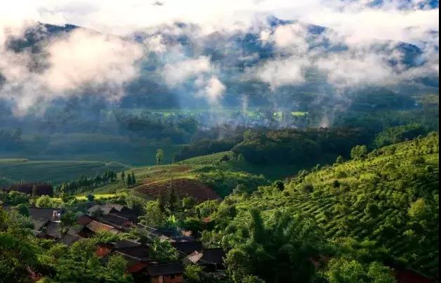 普洱特色团建-古茶山行