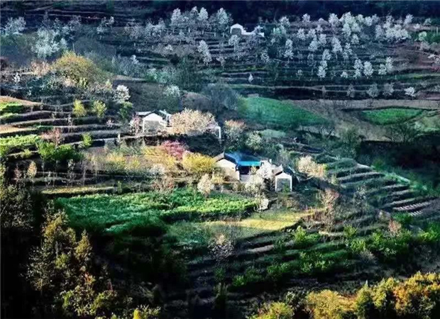 普洱定制旅游：夏日的黄草岭小村，美成了一首长诗！