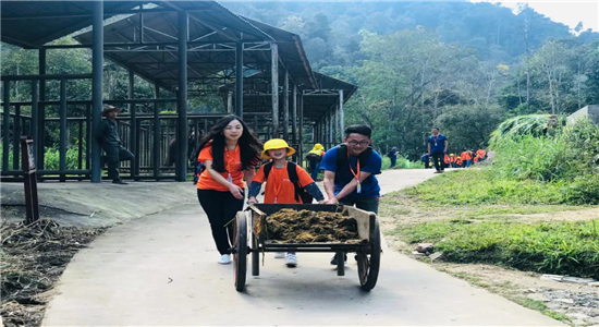 普洱研学旅游