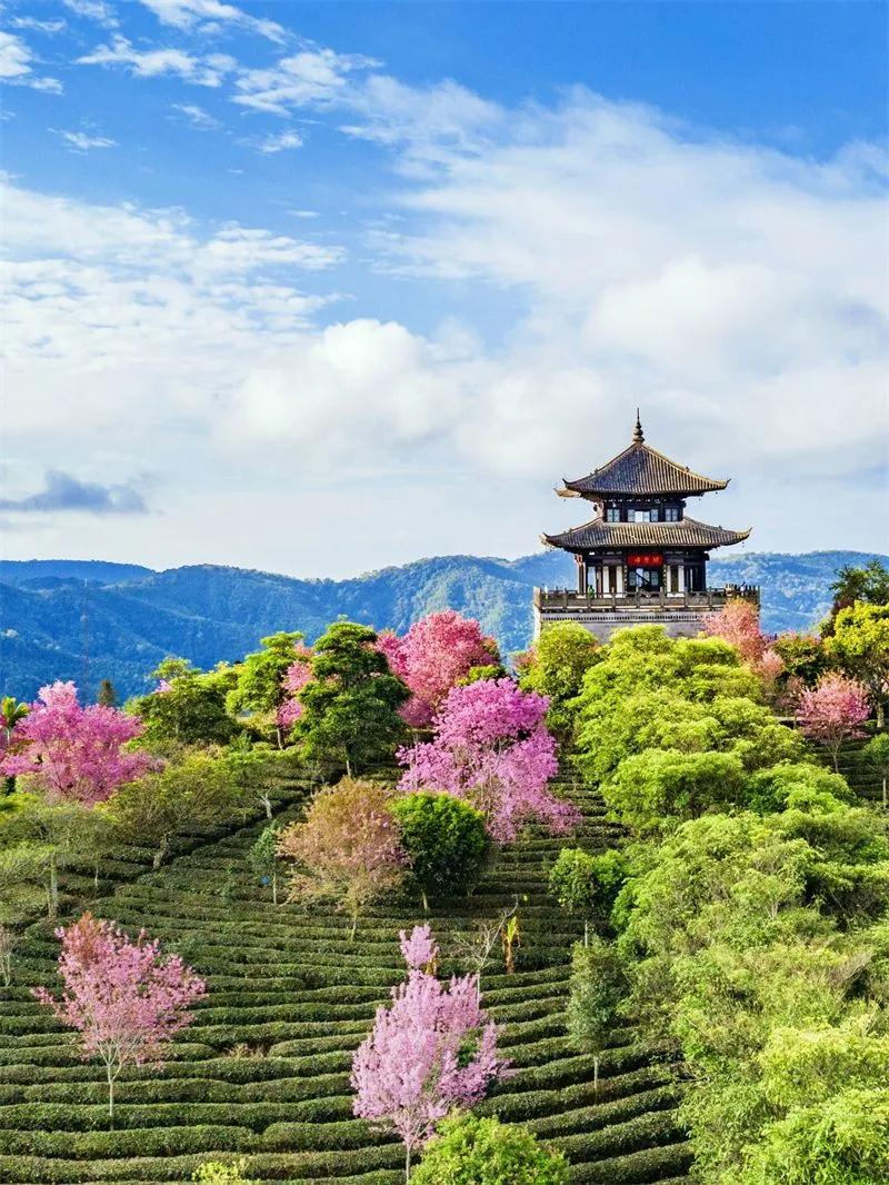 普洱定制旅游