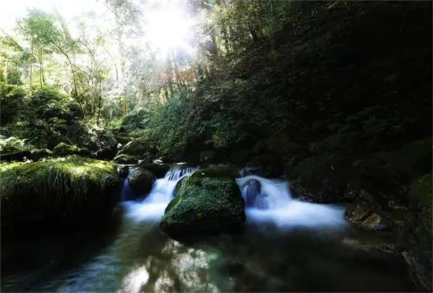 普洱定制游：美丽的黄草岭小黑龙箐