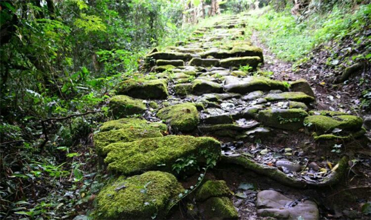 普洱旅游 普洱旅游