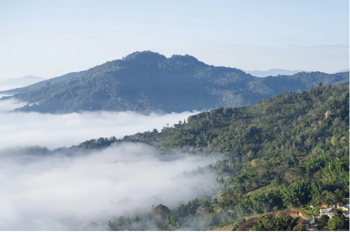 云南旅游,云南旅行社,云南团建公司,云南会议会展,云南团建策划公司,普洱旅游,普洱旅行社,普洱团建公司,普洱会议公司：解锁景迈山茶源秘境的一日浪漫