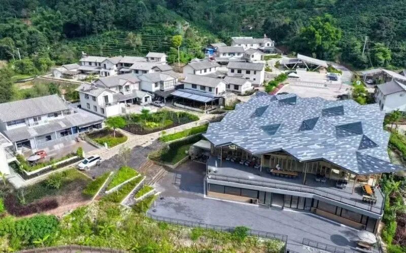 云南旅游,云南旅行社,云南团建公司,云南会议会展,云南团建策划公司,普洱旅游,普洱旅行社,普洱团建公司,普洱会议公司：普洱文旅，靠什么拿捏旅居“流量密码”？