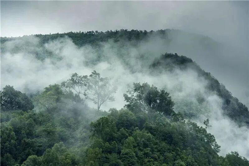 云南旅游,云南旅行社,云南团建公司,云南会议会展,云南团建策划公司,普洱旅游,普洱旅行社,普洱团建公司,普洱会议公司：【普洱文旅】我在普洱过大年｜自驾无量山与哀牢山，看云海、品傣味、访古寨……