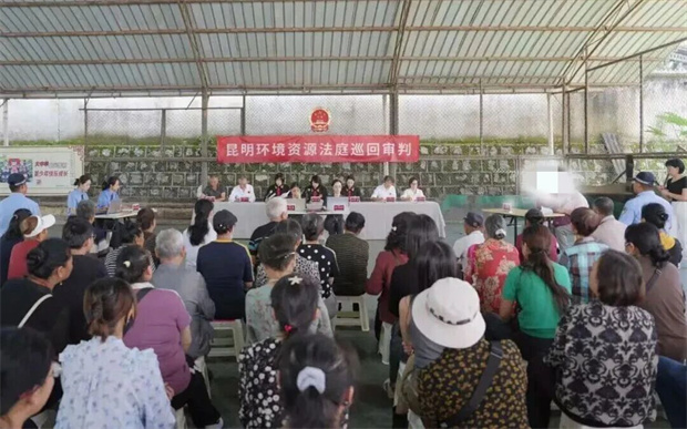 普洱旅游：青山作笔 绿水为墨 普洱全“绿”以赴书写生态新篇