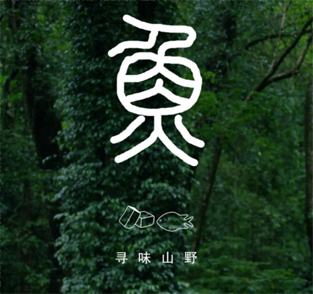 普洱旅游：一帘烟雨入山林，一锅鲜香藏清欢